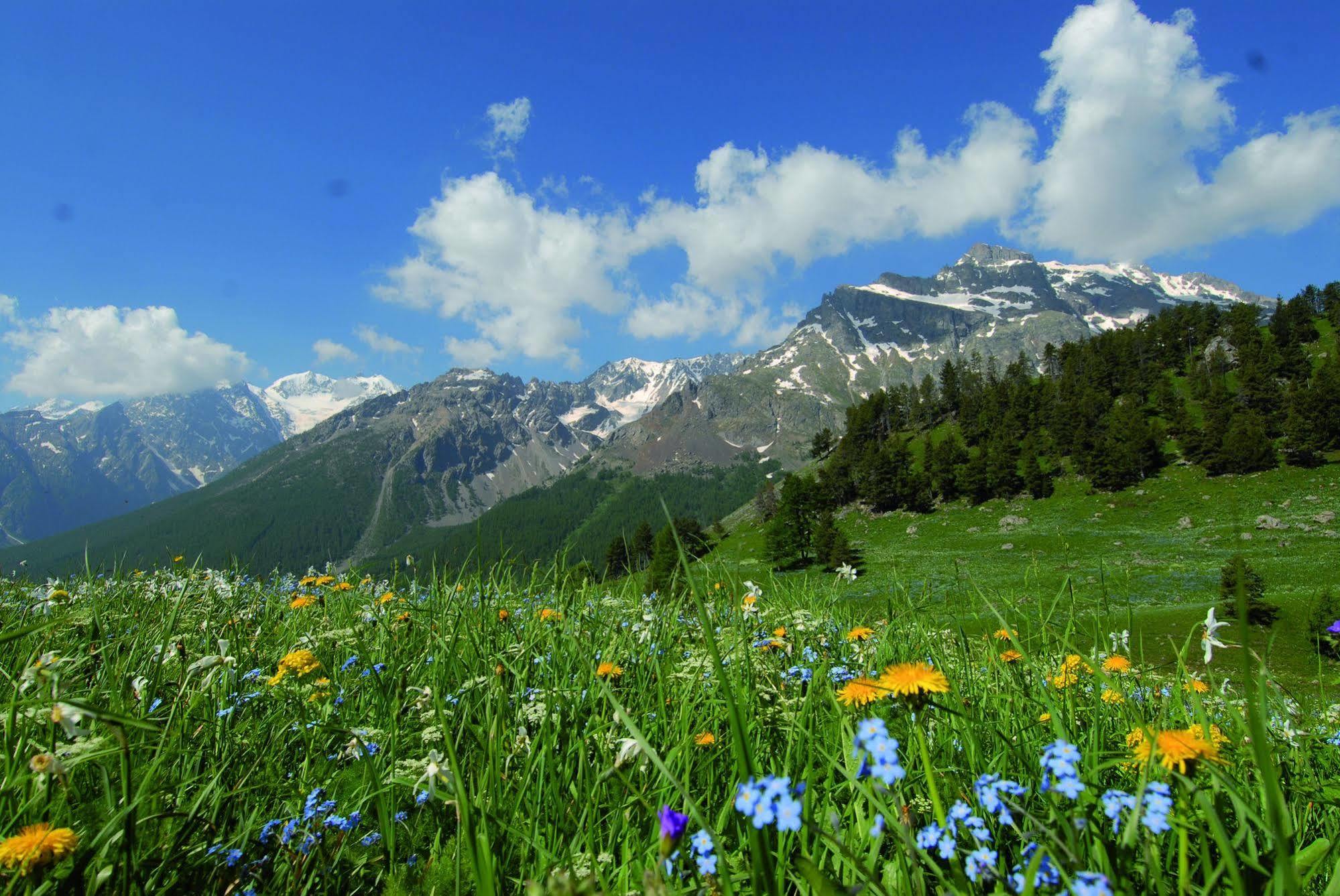 Club Vacances Bleues Les Alpes D'Azur La Salle-les-Alpes Luaran gambar